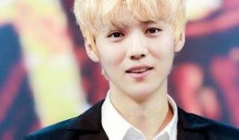 鹿晗韩国爆料视频合集,韩国爆料视频合集深度解析